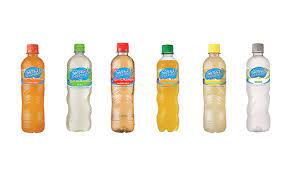 AGUA SABORIZADA 500GR